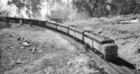 1949 hallock coal creek.jpg