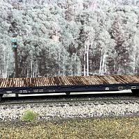 Customized N Scale freight cars